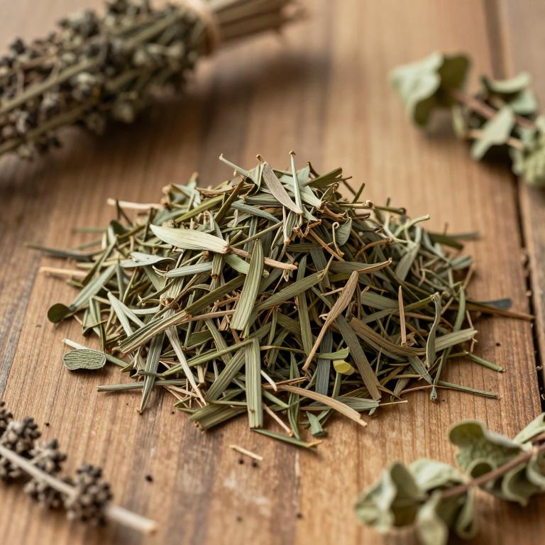 Sasa palmata