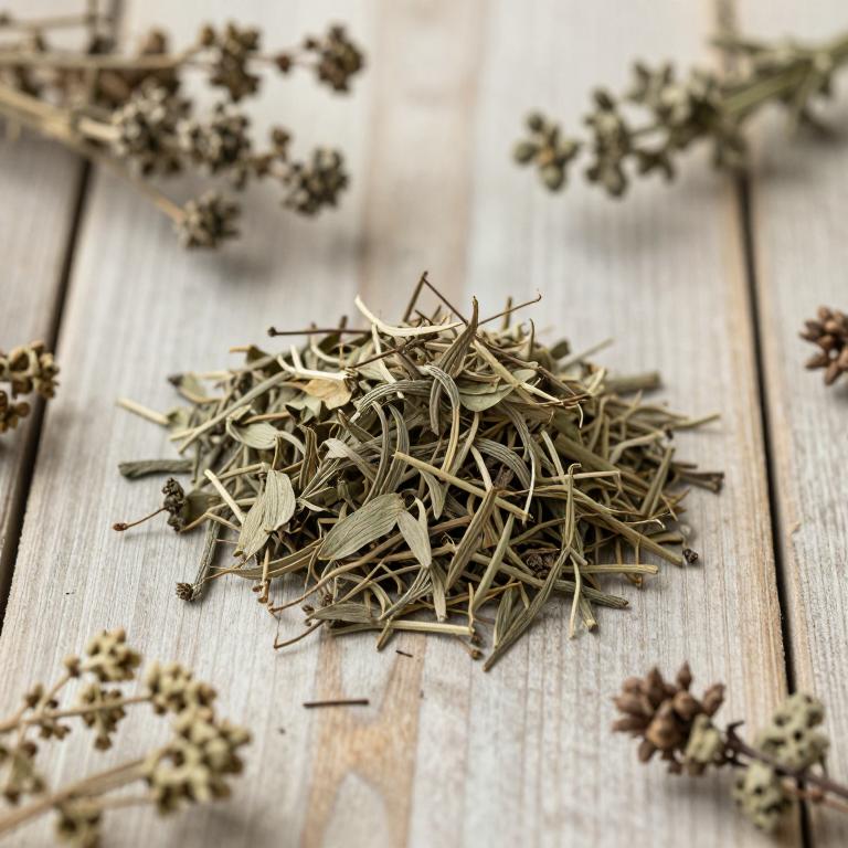 Scleria verrucosa