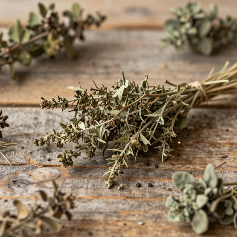 Senecio alcicornis