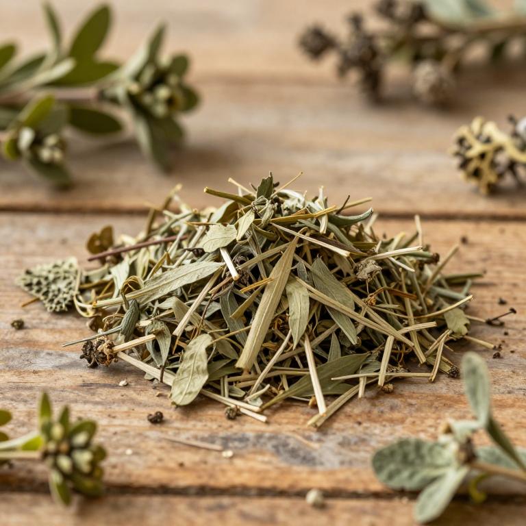 Senega altomontana