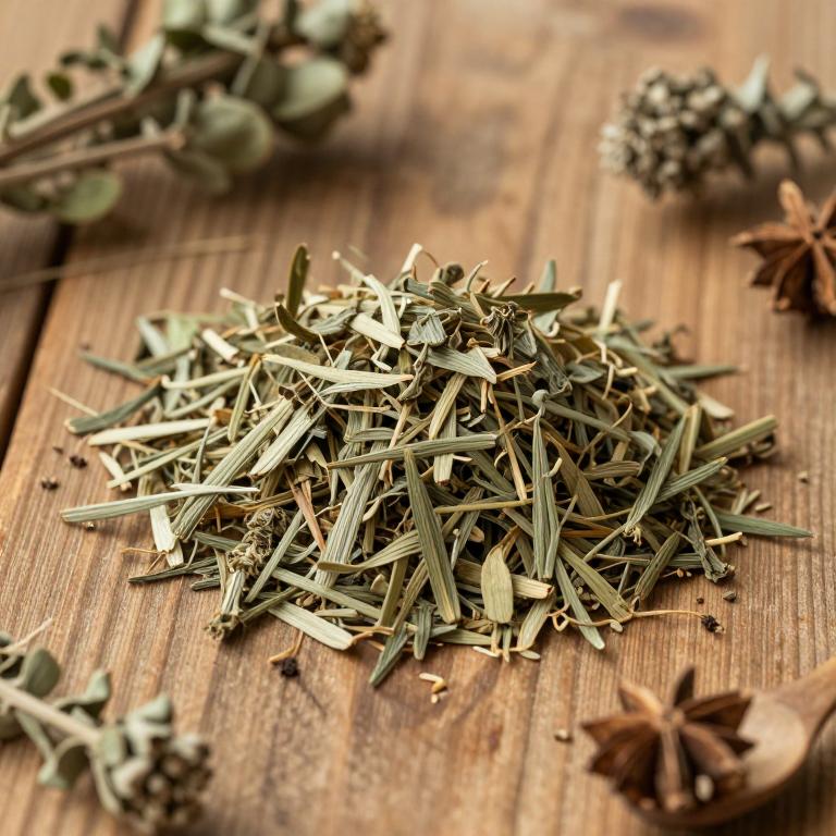 Senega officinalis