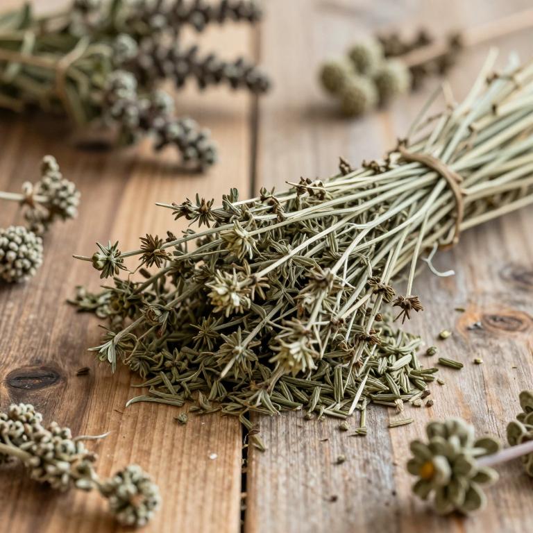 Sideritis raeseri subsp. raeseri