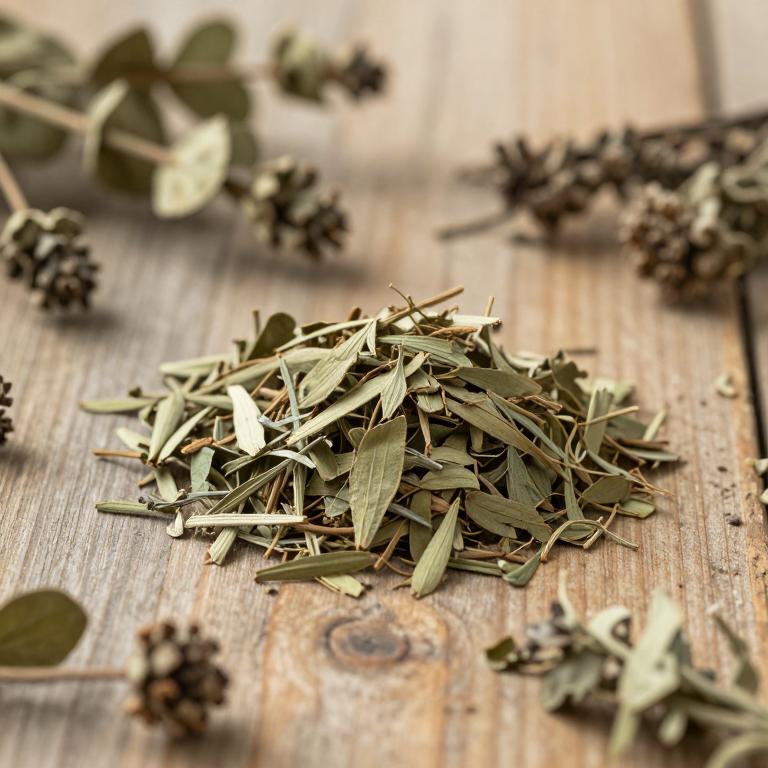 Smilax blumei