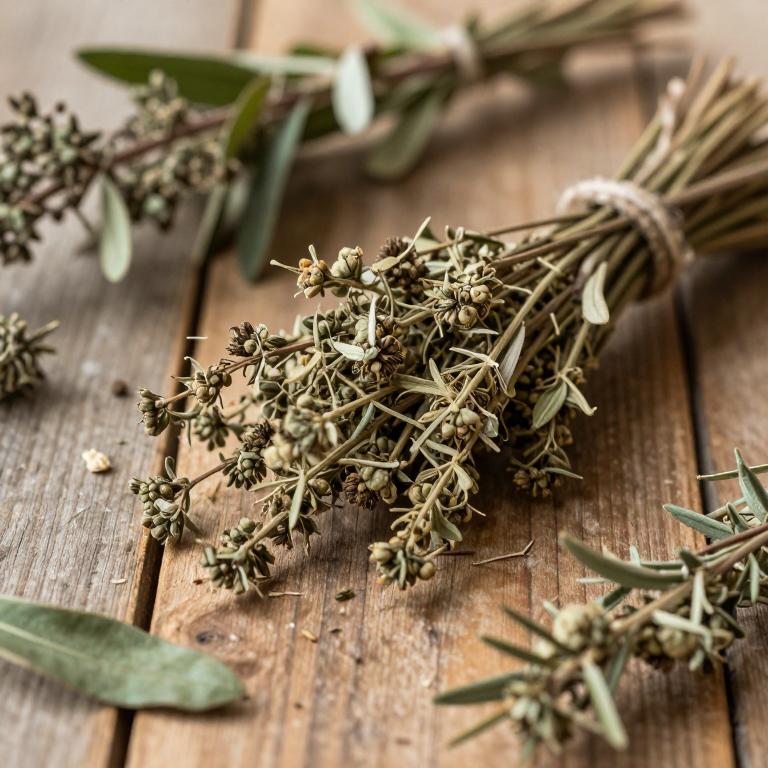 Smyrnium olusatrum