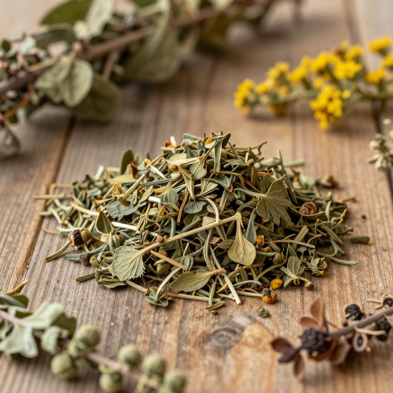 Solidago