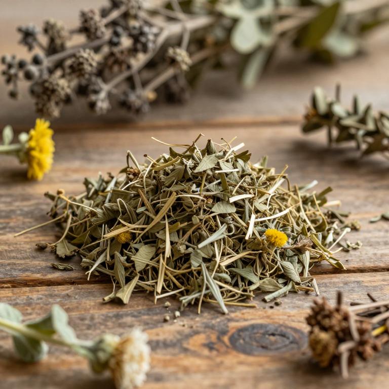 Sonchus wightianus
