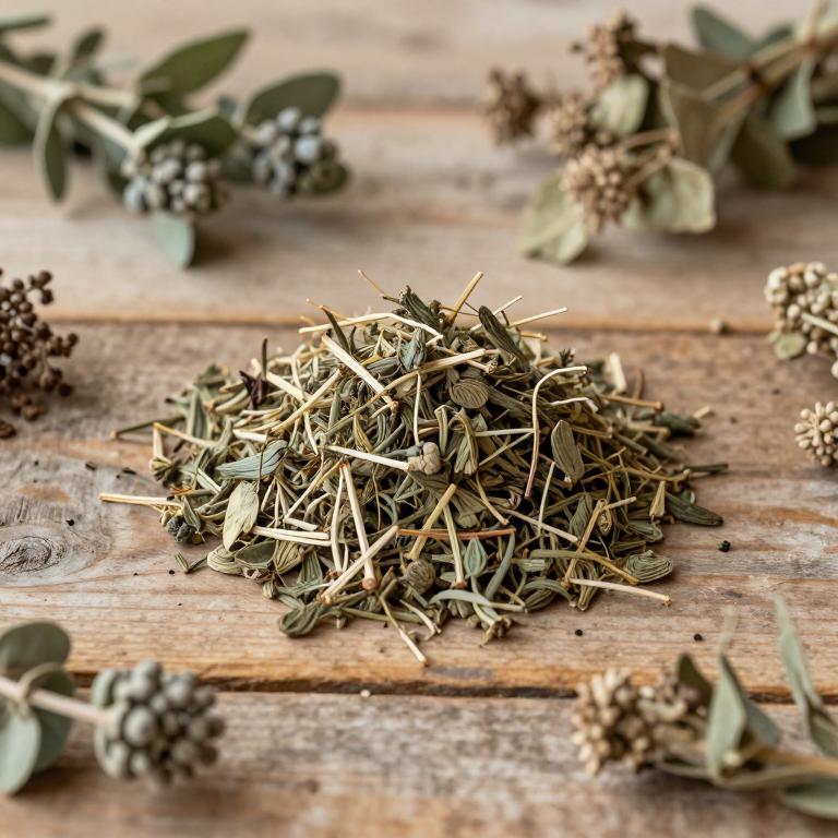 Sorocea bonplandii