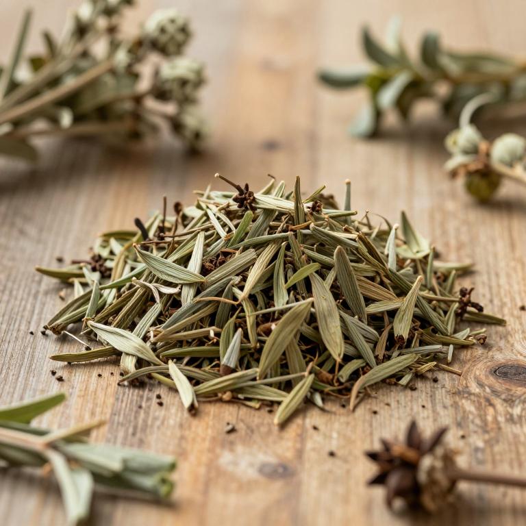 Stevia salicifolia