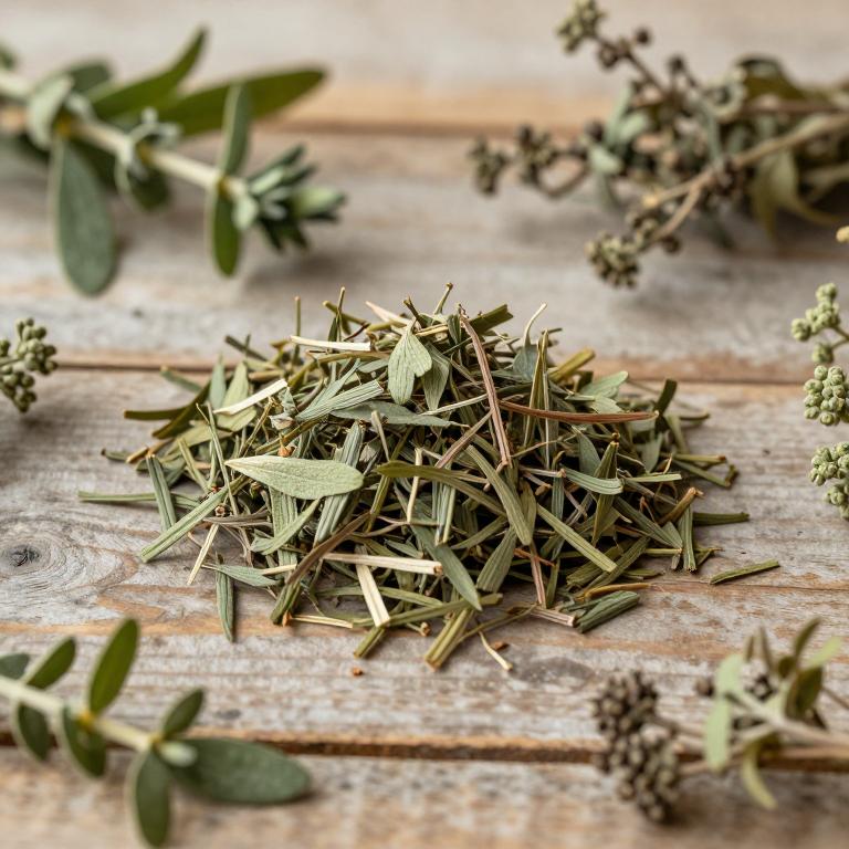 Talinum portulacifolium
