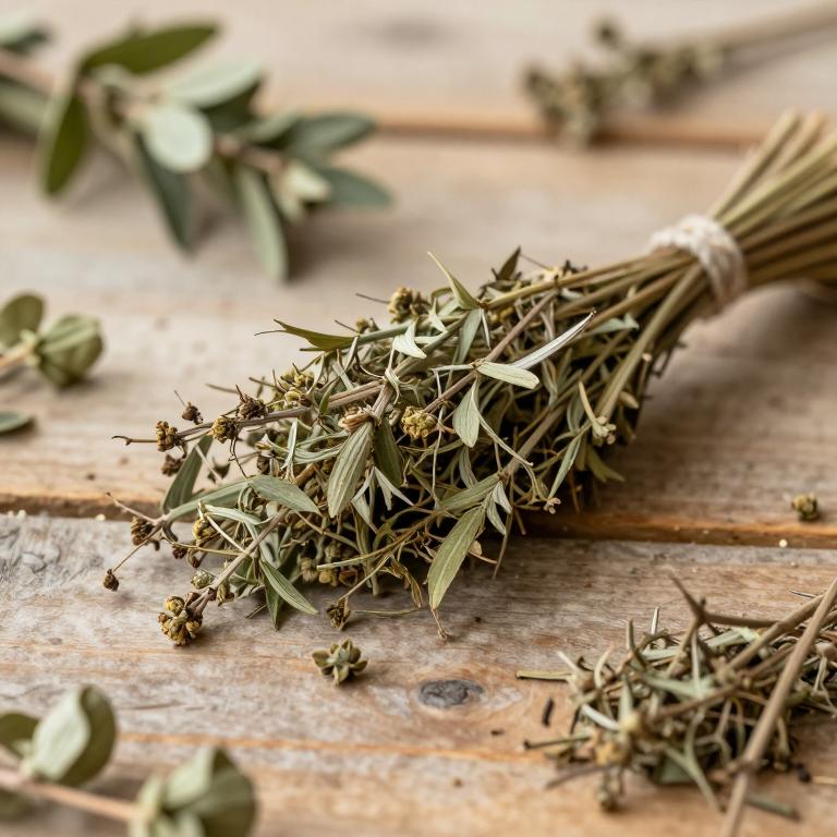 Tanacetum tatsienense