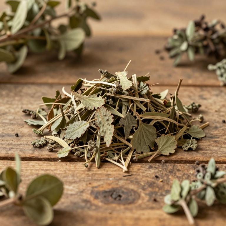 Tapinanthus cordifolius