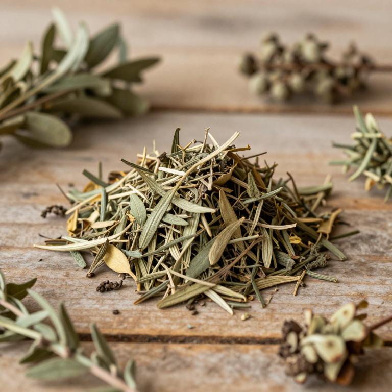 Taverniera aegyptiaca