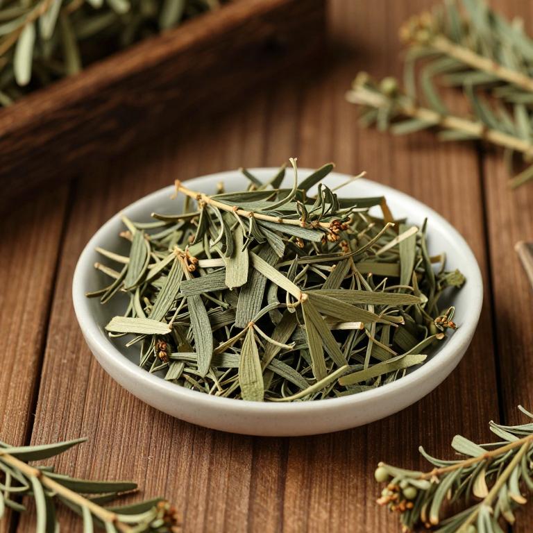 Taxus chinensis