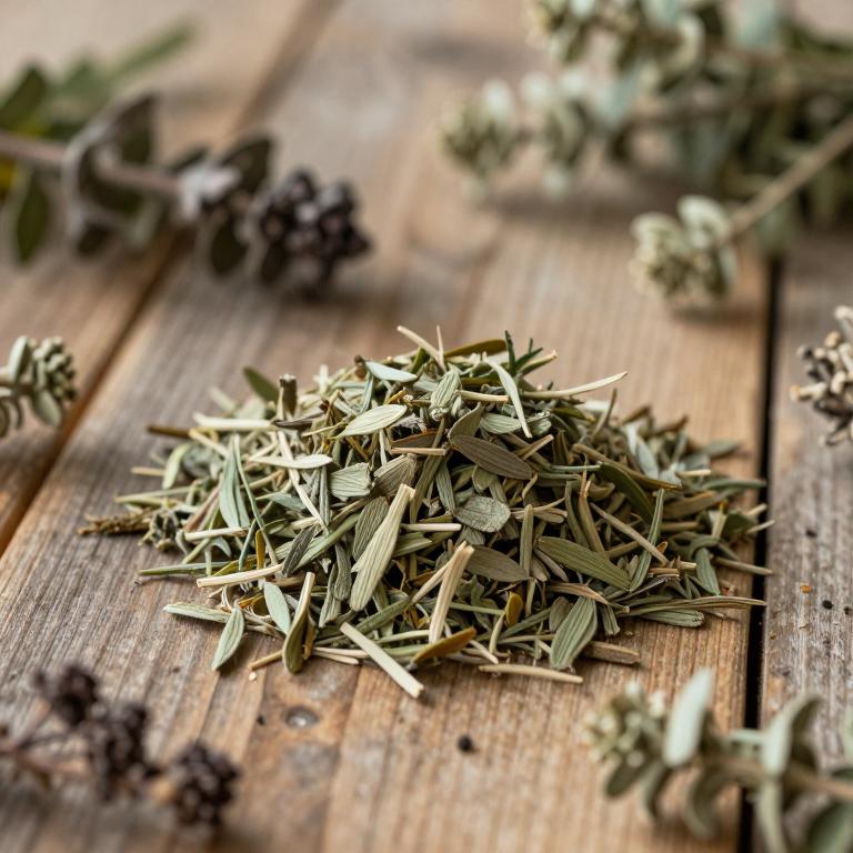 Teucrium arduini
