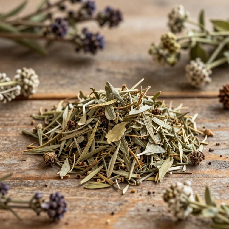 Teucrium asiaticum