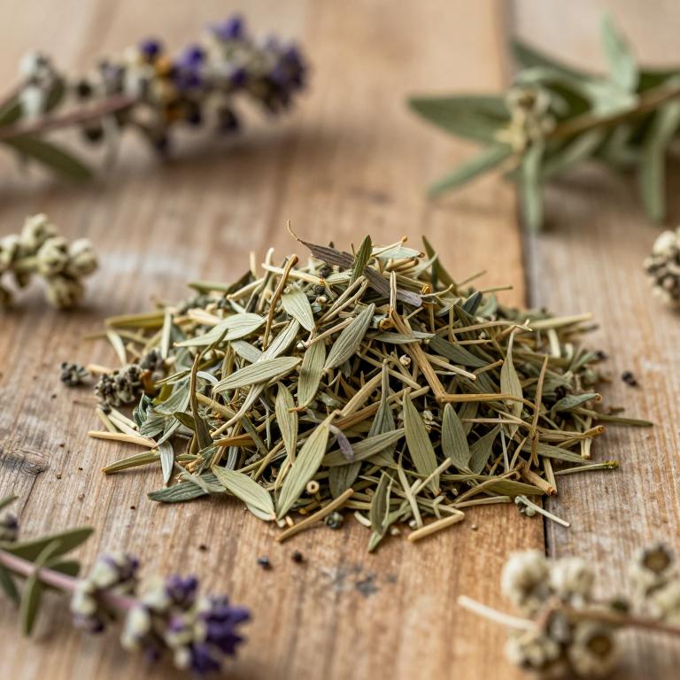 Teucrium creticum