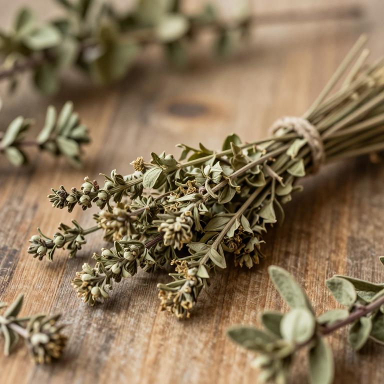 Teucrium montanum