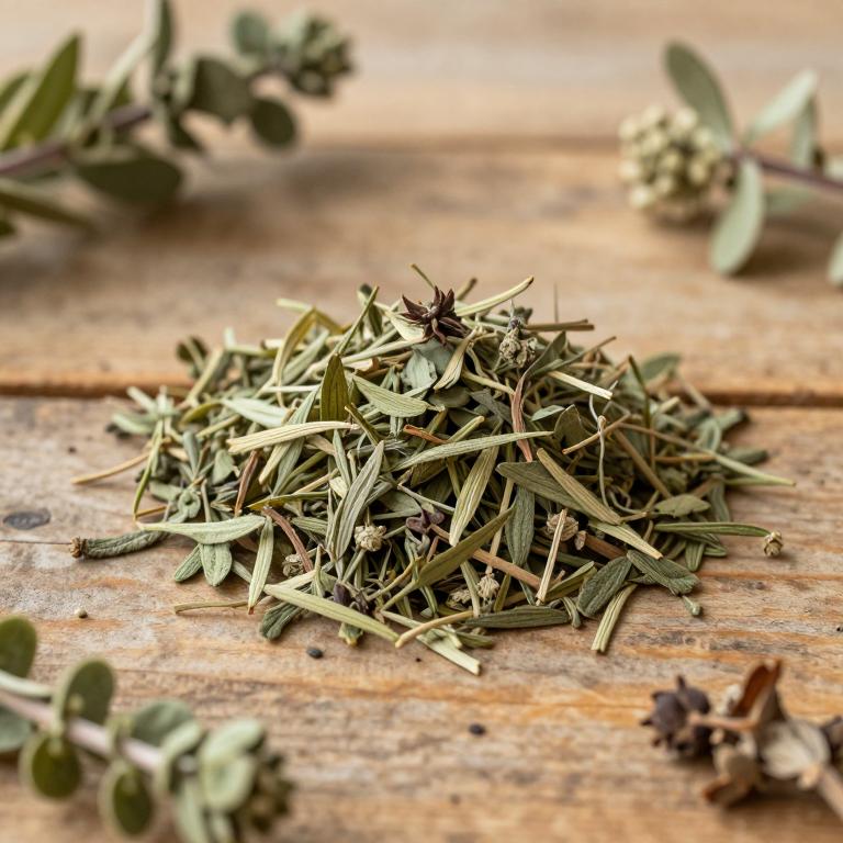 Teucrium pseudoscorodonia