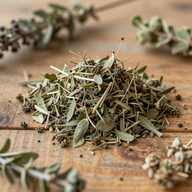 Teucrium sauvagei
