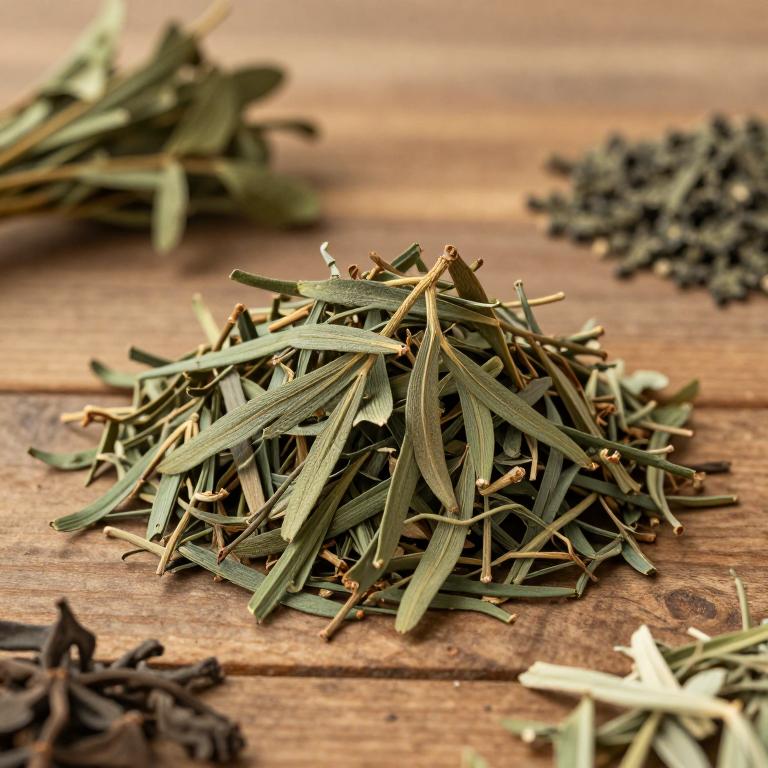 Thuja sutchuenensis