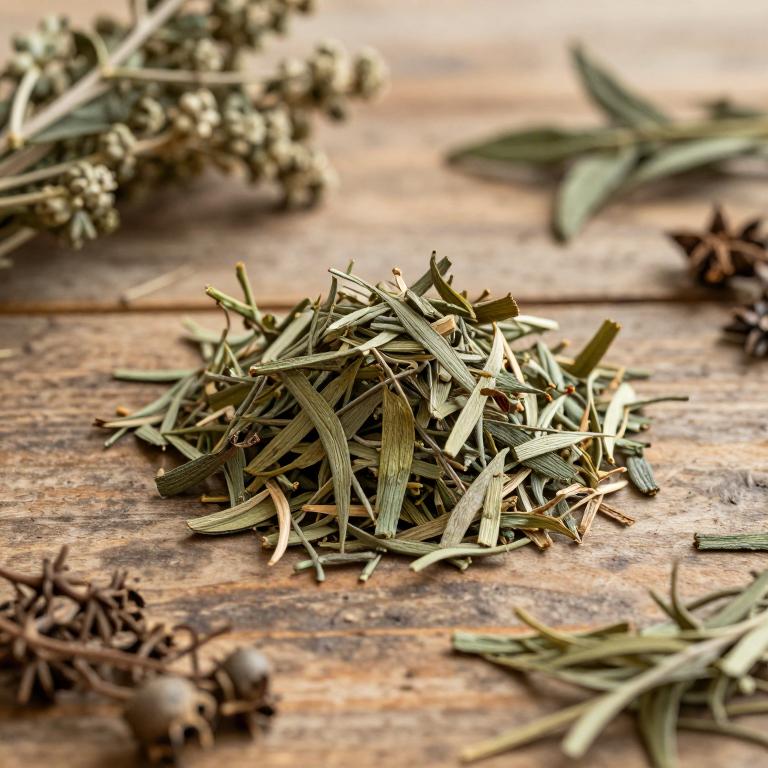 Thuja