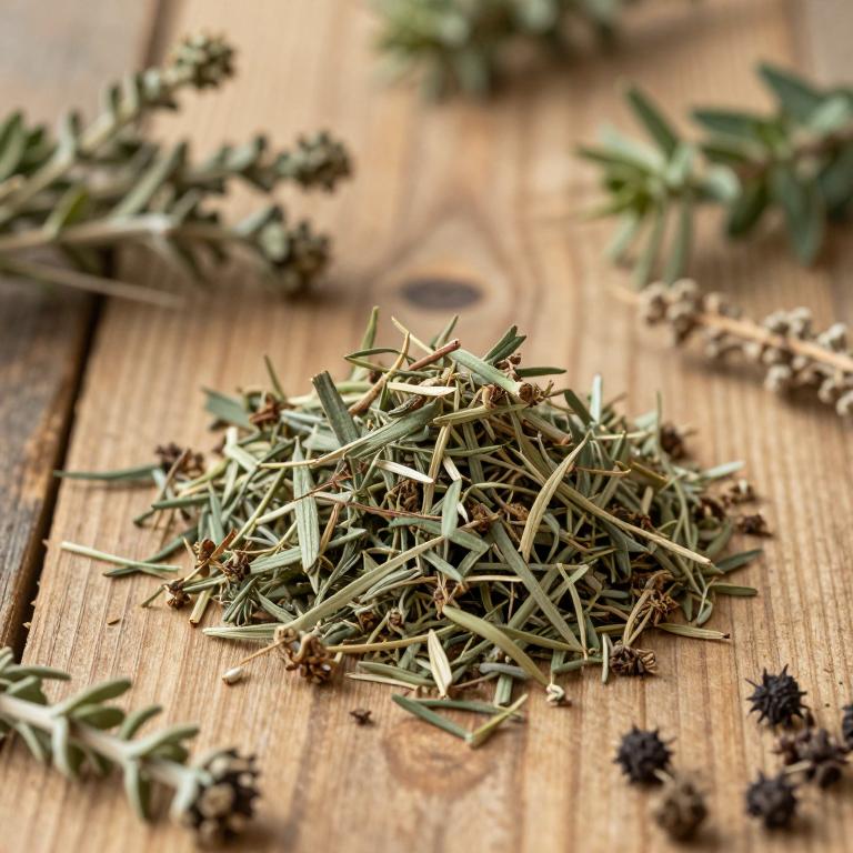 Thymus daenensis