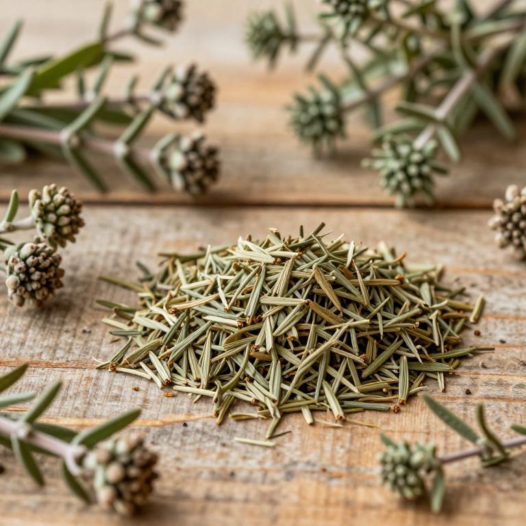 Thymus herba-barona