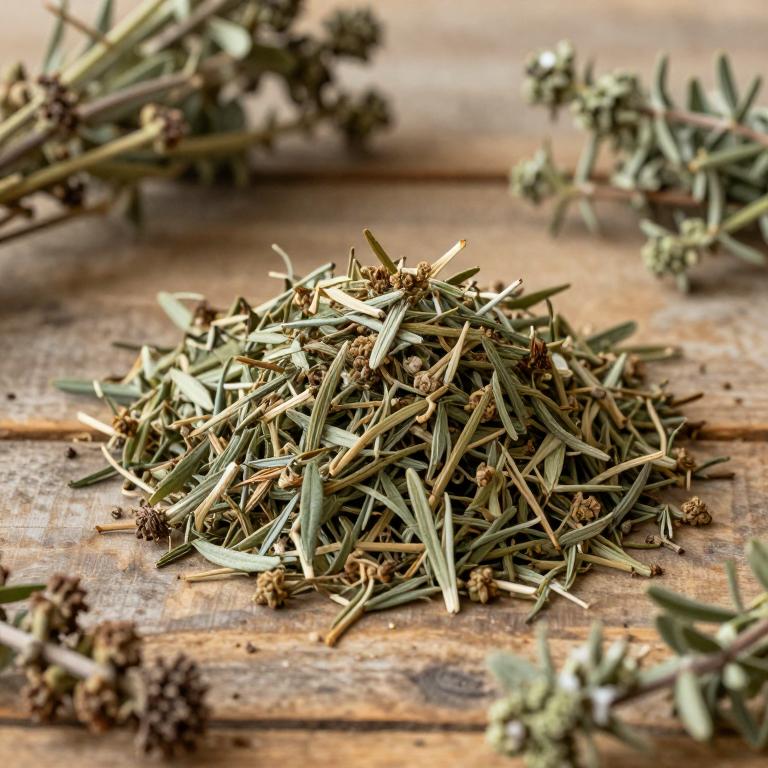 Thymus linearis
