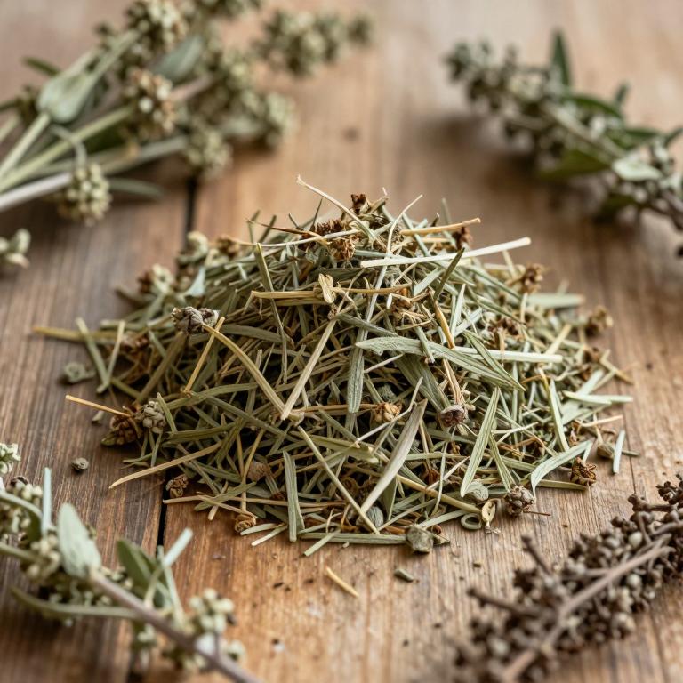 Thymus pallescens