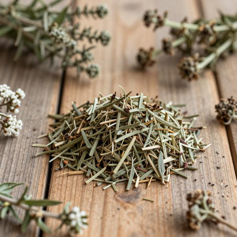 Thymus pallidus