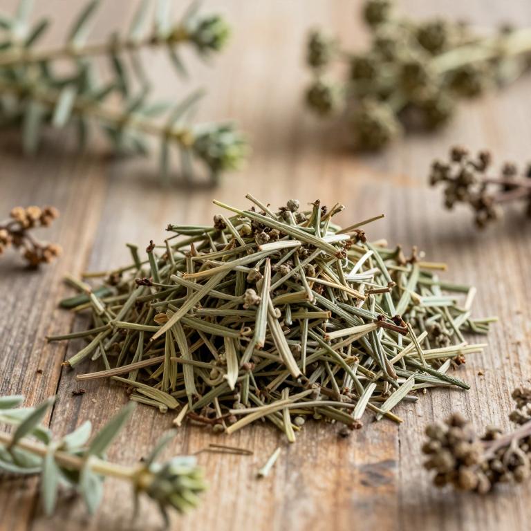 Thymus saturejoides