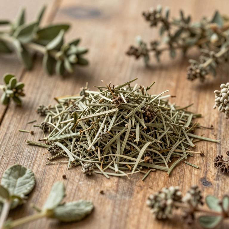 Thymus sibthorpii