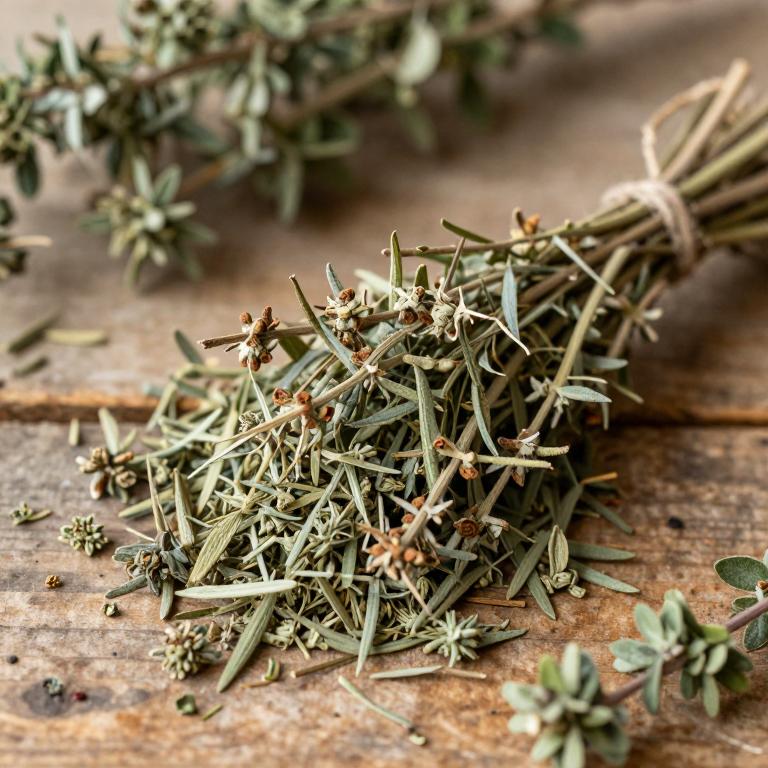 Thymus zygis