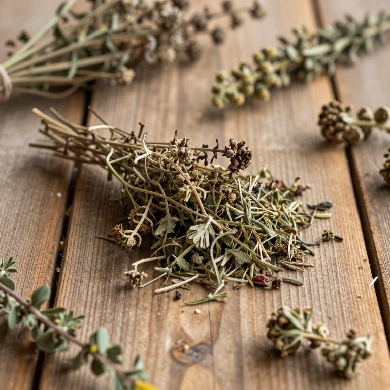 Thymus