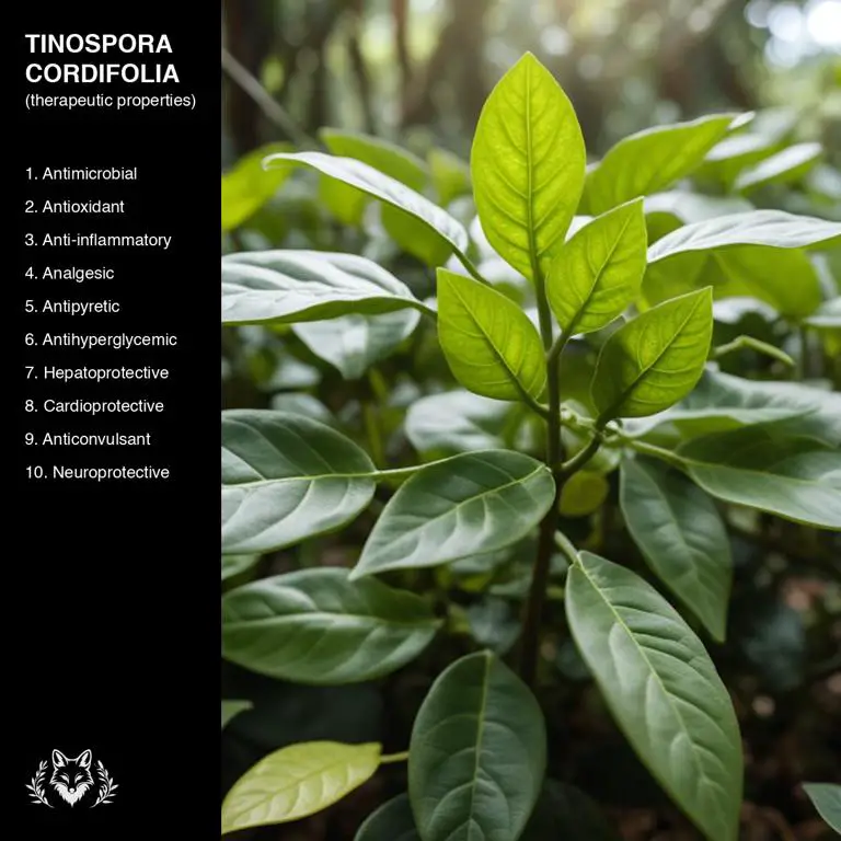 properties of Tinospora cordifolia