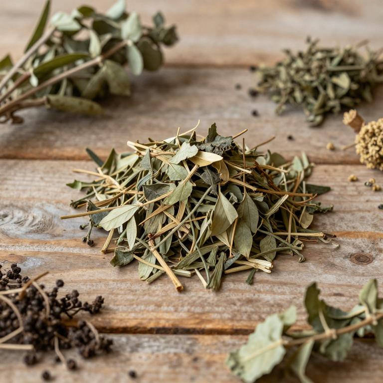 Tovomita longifolia