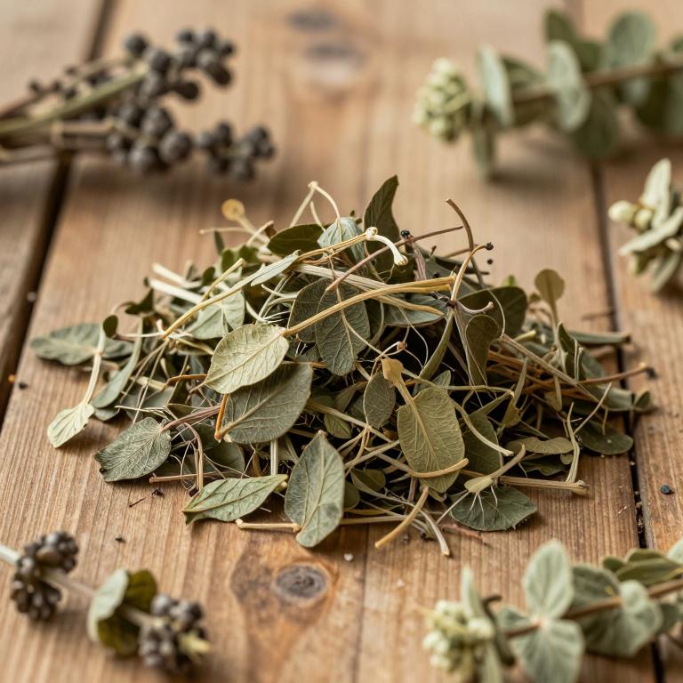 Trapa natans var. quadrispinosa