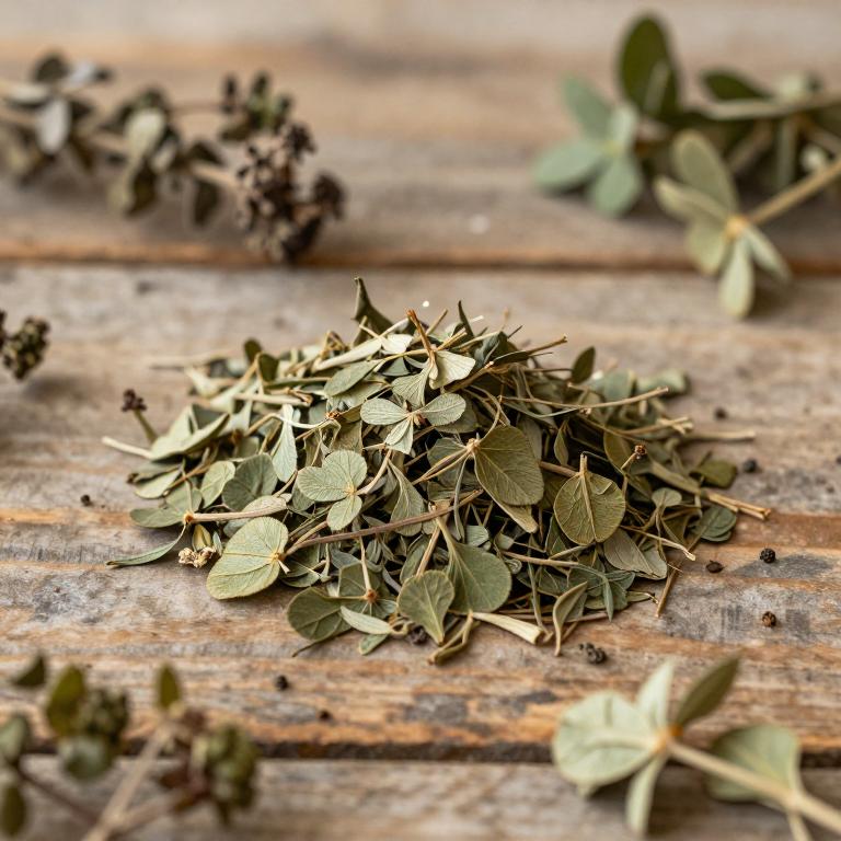 Trifolium pallidum