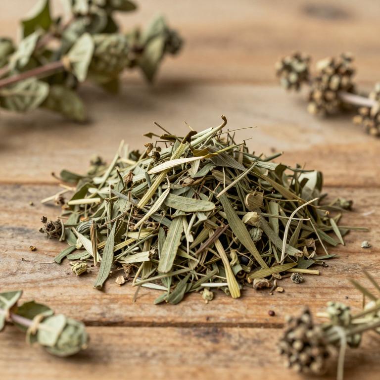 Urtica membranacea