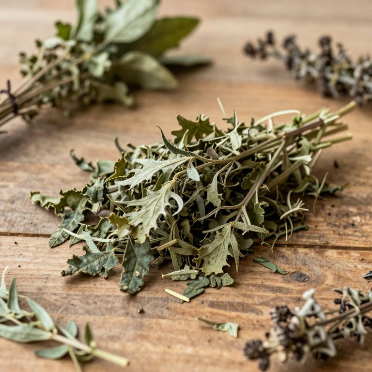 Urtica