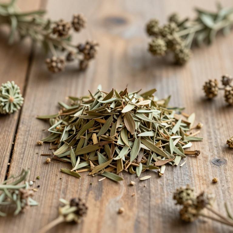 Valeriana alpestris