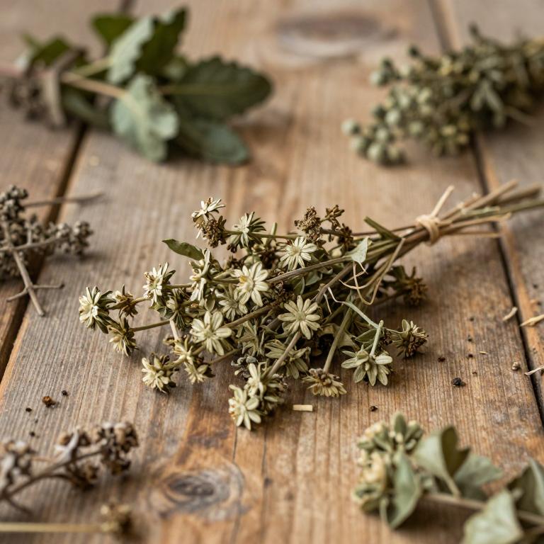 Valeriana ferax