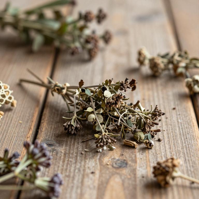 Valeriana prionophylla