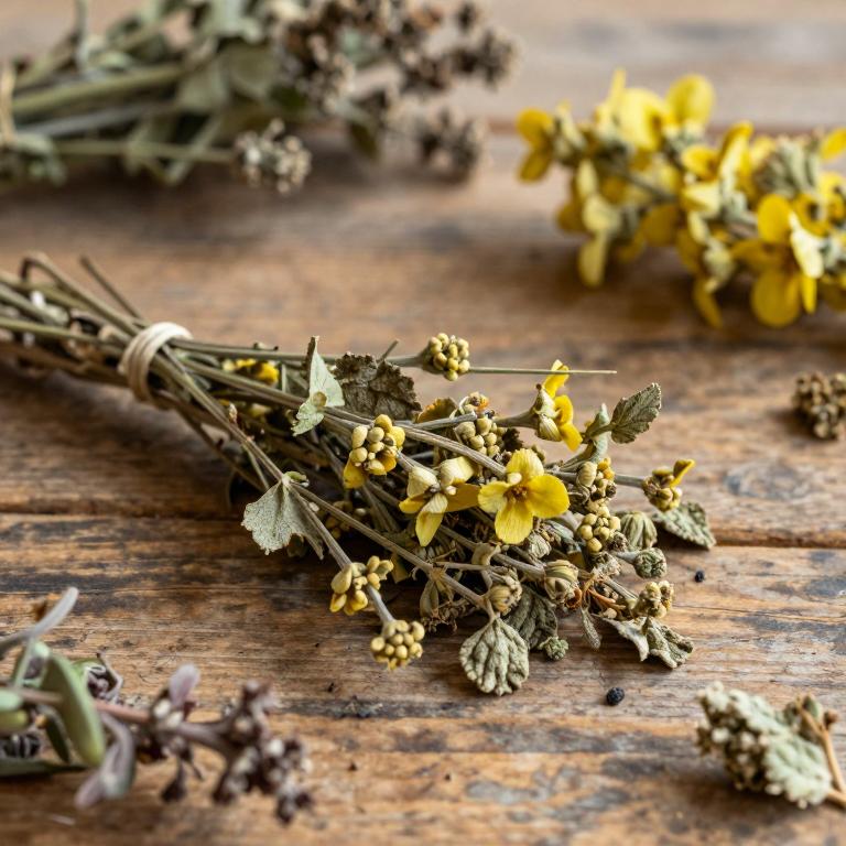 Verbascum glabratum subsp. bosnense