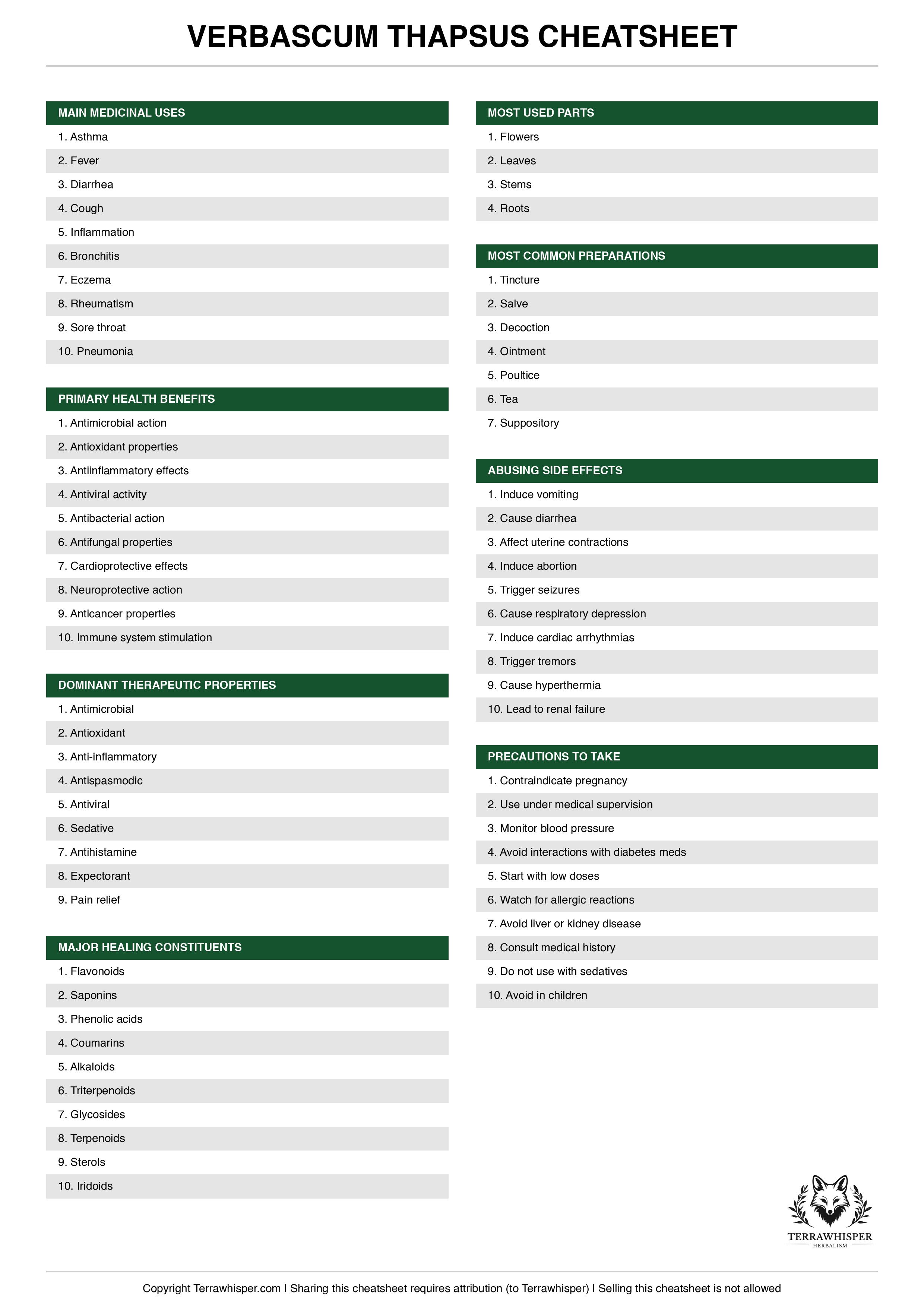 Verbascum thapsus plant cheatsheet