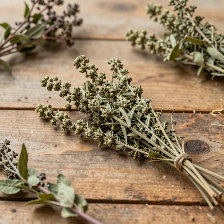 Vigna longifolia