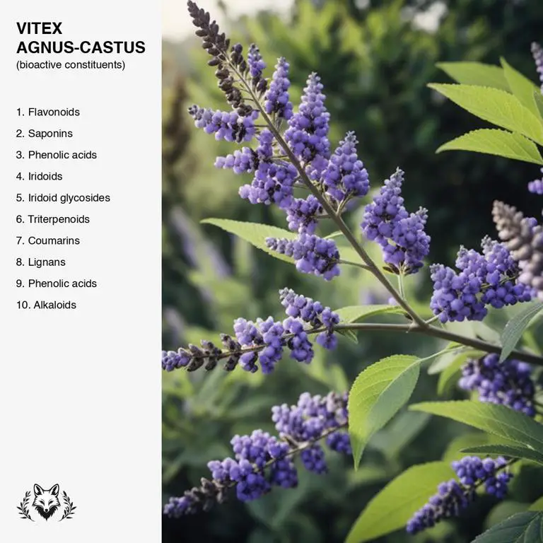 constituents of Vitex agnus-castus