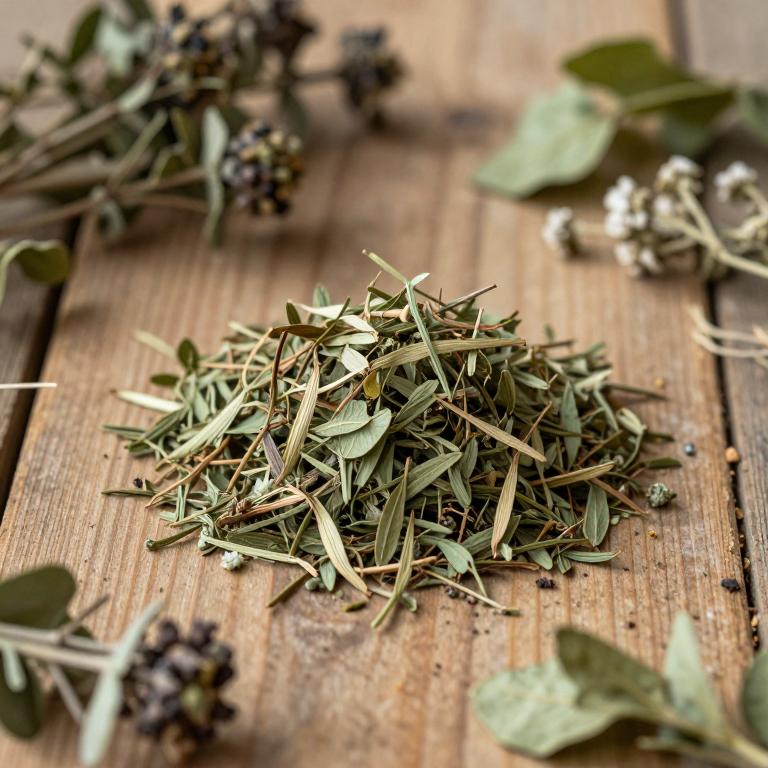 Vitex diversifolia