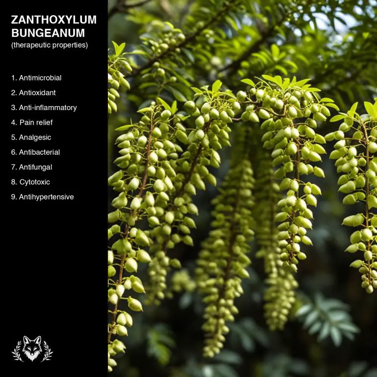 properties of Zanthoxylum bungeanum