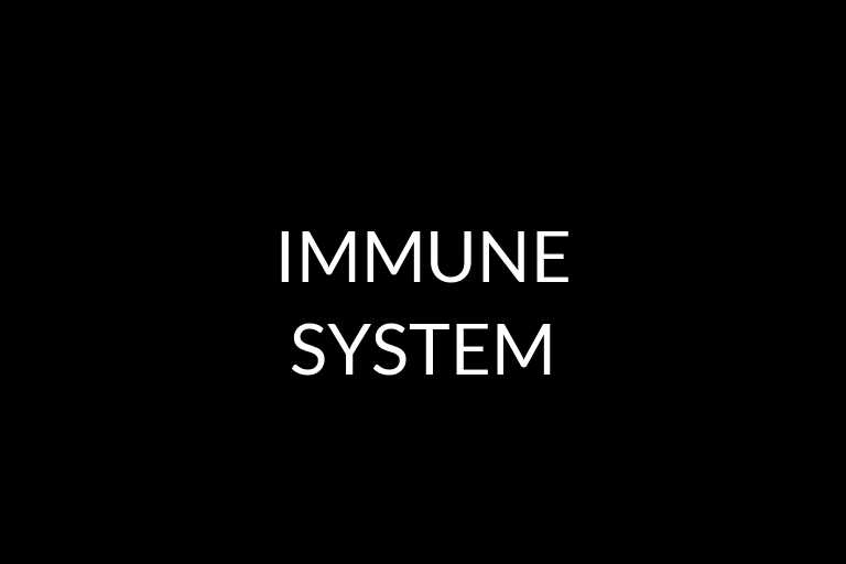 immune system